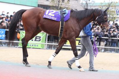 ファイル 53-1.jpg