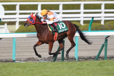 ファイル 530-1.jpg