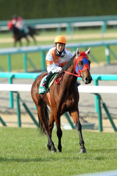 ファイル 530-3.jpg