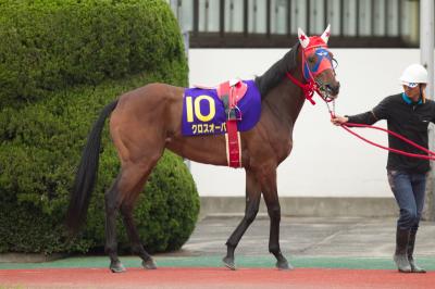 ファイル 531-1.jpg