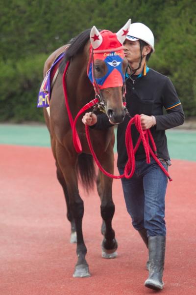 ファイル 531-2.jpg