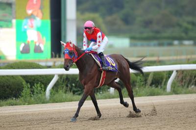 ファイル 531-4.jpg