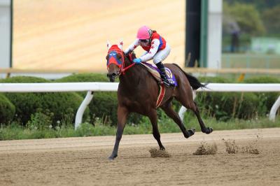 ファイル 532-1.jpg