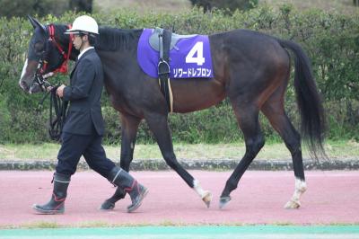 ファイル 533-1.jpg