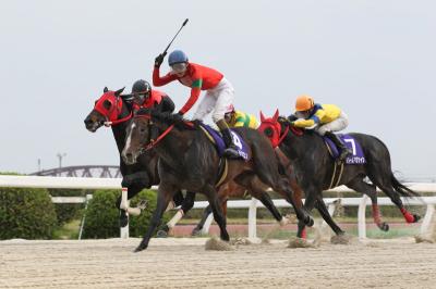 ファイル 533-3.jpg