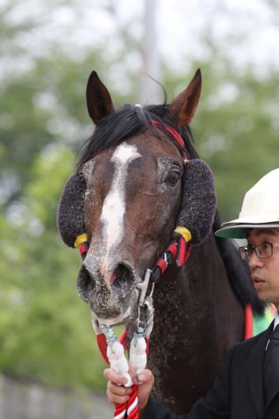 ファイル 533-5.jpg