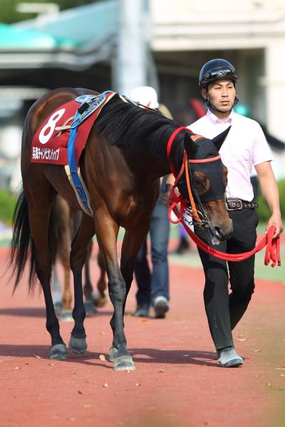 ファイル 535-1.jpg