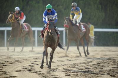 ファイル 535-3.jpg