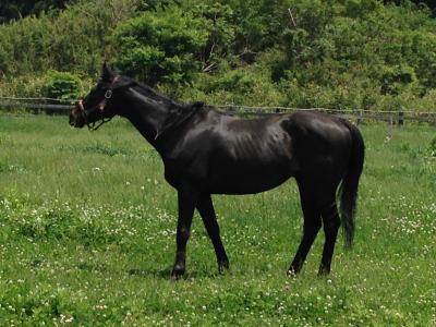 ファイル 536-1.jpg