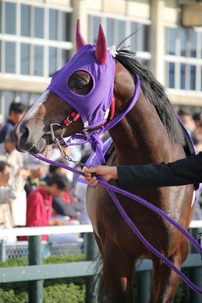 ファイル 537-1.jpg