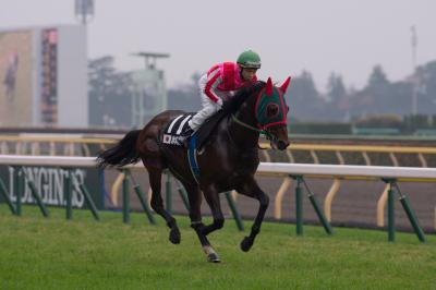 ファイル 538-1.jpg