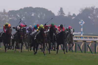 ファイル 538-2.jpg