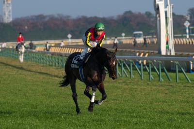 ファイル 538-3.jpg