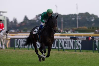 ファイル 539-2.jpg