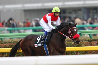 ファイル 540-4.jpg