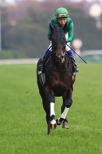 ファイル 540-5.jpg