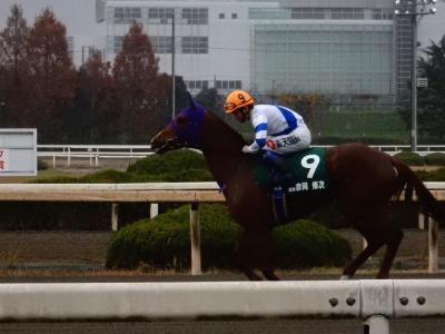 ファイル 542-3.jpg