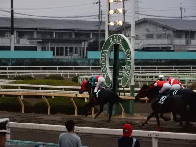 ファイル 542-5.jpg