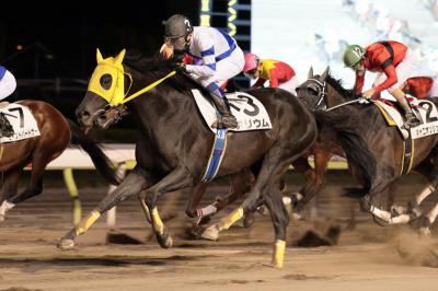 ファイル 544-1.jpg