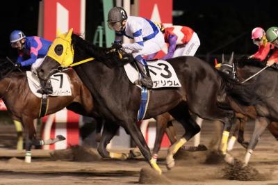 ファイル 544-2.jpg