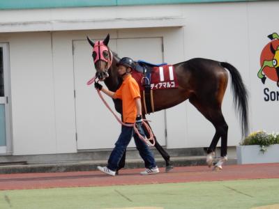 ファイル 545-1.jpg