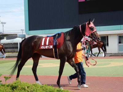 ファイル 545-2.jpg