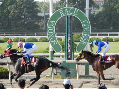 ファイル 546-3.jpg