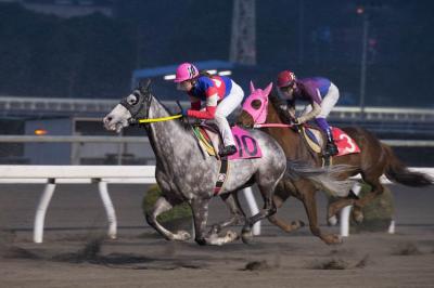 ファイル 549-2.jpg