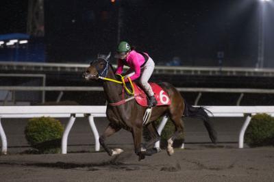 ファイル 549-4.jpg