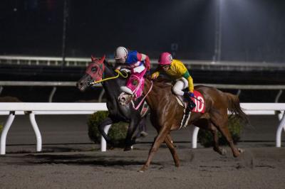 ファイル 549-5.jpg