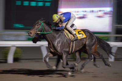 ファイル 550-1.jpg