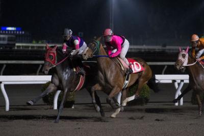 ファイル 550-3.jpg