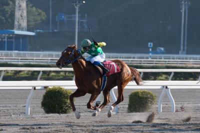 ファイル 551-1.jpg