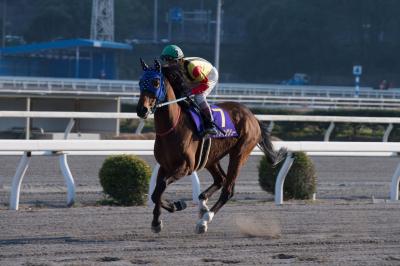 ファイル 552-1.jpg