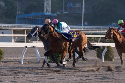 ファイル 552-2.jpg