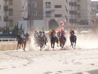 ファイル 553-1.jpg