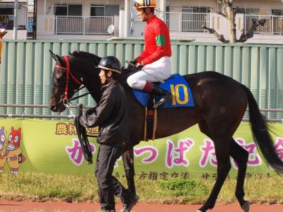 ファイル 555-1.jpg