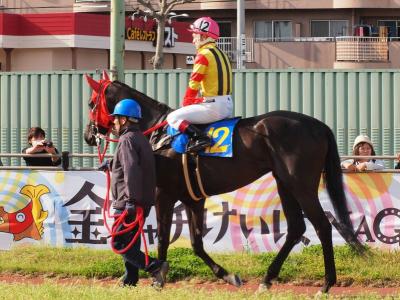 ファイル 555-2.jpg