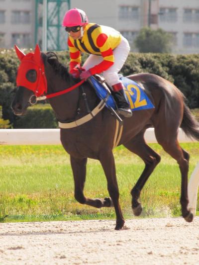 ファイル 555-3.jpg