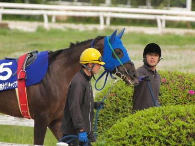 ファイル 557-1.jpg