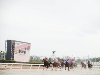 ファイル 557-4.jpg