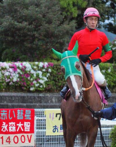 ファイル 558-1.jpg