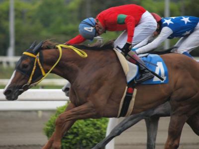 ファイル 558-3.jpg