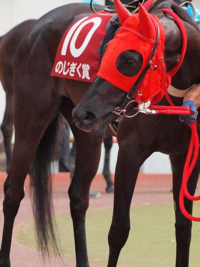 ファイル 559-1.jpg