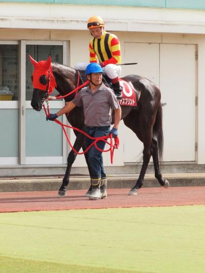 ファイル 559-2.jpg