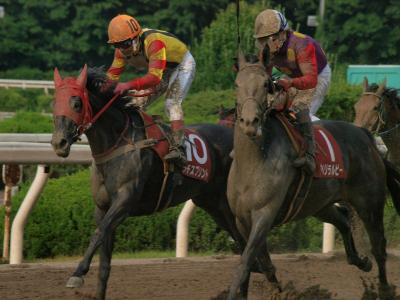 ファイル 559-3.jpg