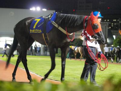 ファイル 561-1.jpg