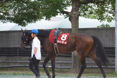 ファイル 562-1.jpg