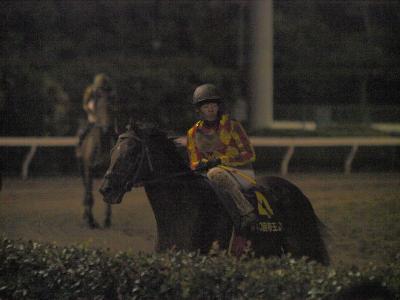 ファイル 563-4.jpg