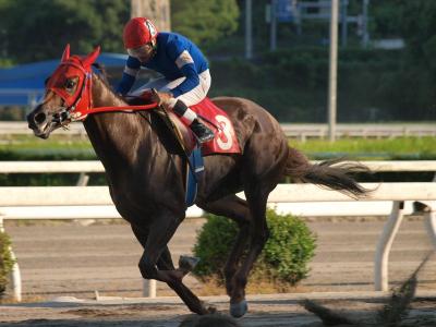 ファイル 565-3.jpg